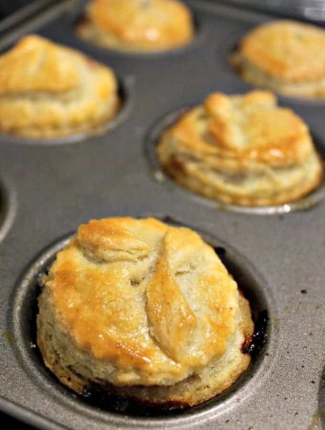 Sout Tertjies, Mini Meat Pies, Savory Hand Pies Recipes, Pies Savory, Mini Pie Crust, Mini Pot Pies, Homemade Bisquick, Hand Pies Savory, Meat Pie Recipe