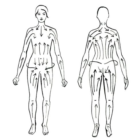 Dry Brushing Map, Benefits Of Dry Brushing, K Tape, Dry Brushing Skin, Lymph Massage, Lymph System, Lymph Drainage, Dry Body Brushing, Skin Brushing