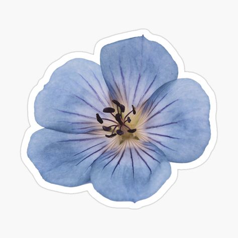 Blue Stickers Png, Aesthetic Stickers Blue, Blue Stickers Aesthetic Printable, Blue Journal Stickers, Cute Blue Stickers, Blue Stickers Aesthetic, Cool Stickers Art, Blue Flower Sticker, Tumblr Sticker