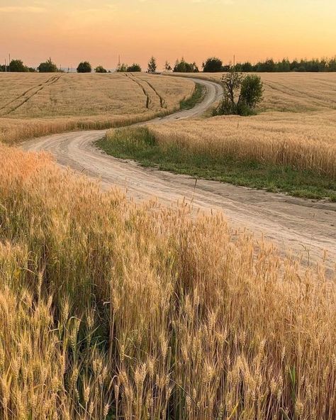 Prairie Aesthetic, Lana Del Rey Songs, Senior Photography Poses, Graphic Book, Country Paintings, Landscape Art Painting, Dirt Road, Fictional World, Nature Paintings