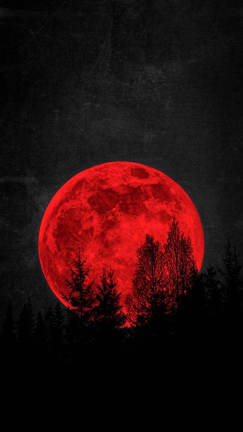 Red Moon Wallpaper, Moon Iphone Wallpaper, Snowing Aesthetic Wallpaper, Blood Red Moon, Iphone Wallpapers Hd, Blood Wallpaper, Red Space, Iphone Wallpaper Hd, Red And Black Wallpaper