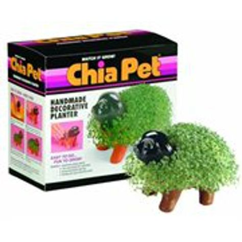 Pet Grass, Chia Pet, Handmade Planter, Seed Pack, Unique Pottery, Pet Day, Decorative Planters, Pottery Planters, Decorative Pottery