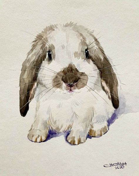 Bunny Portrait, Lop Bunny, Dog Watercolor Painting, Portraits Pop Art, Custom Bunny, Bunny Watercolor, Rabbit Animal, Bunny Painting, Bunny Drawing