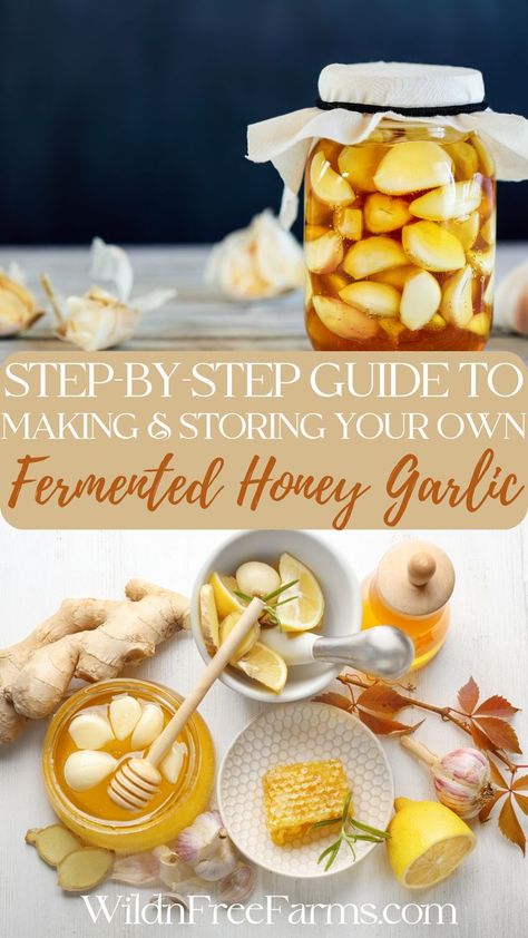 fermented honey garlic Garlic And Honey Benefits, Fermented Honey Garlic, Fermented Garlic Honey, Fermented Garlic, Garlic And Honey, Fermented Honey, Garlic Honey, Fire Cider, Garlic Benefits