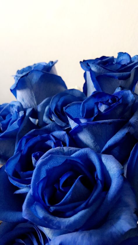 Royal Blue Roses Wallpaper, Rose Blue Aesthetic, Blue Roses Aesthetic, Blue Rose Aesthetic, Blue Flower Names, Blue Flowers Aesthetic, Blue Roses Bouquet, Dark Blue Roses, Rose Blu