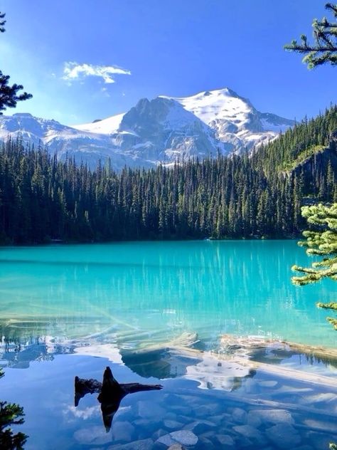 Pretty Countries To Visit, Joffre Lakes Provincial Park, Canada Aesthetic Summer, Best Chocolate Bundt Cake Recipe, Whistler Canada Summer, Best Chocolate Bundt Cake, Canada Scenery, Canada Vibes, Lakes Canada