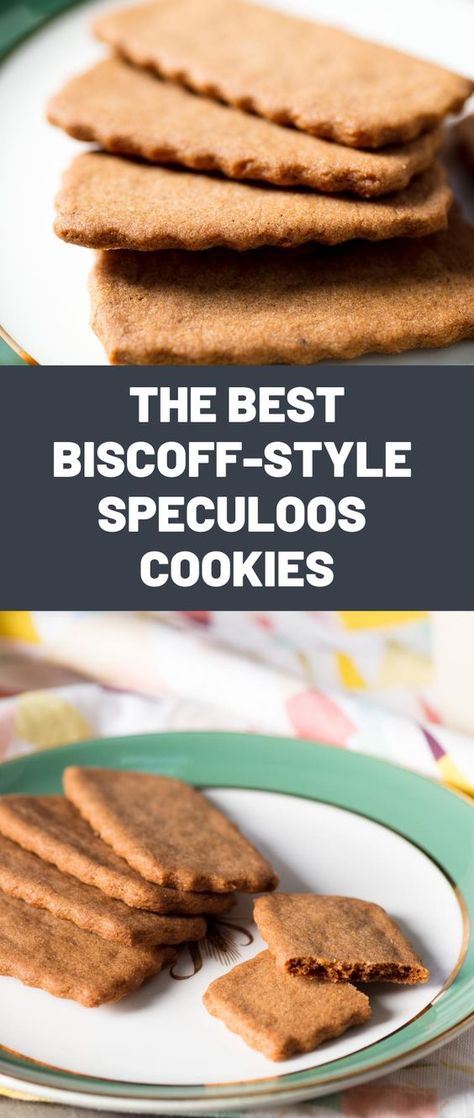 Belgian Spice Cookies (speculoos), How To Make Biscoff Cookies, Belgian Spice Cookies, Speculoos Cookies Recipe, Homemade Biscoff Cookies, Biscoff Cookie Recipes, Biscoff Cookies Recipe, Speculoos Recipe, Biscoff Cookie Recipe