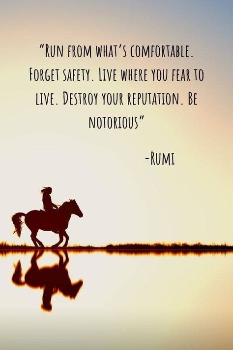 Maulana Rumi, Quotes Rumi, Rumi Quotes Soul, Endurance Riding, Horse Breeding, Rumi Poetry, Rumi Love Quotes, Rumi Love, Inspirerende Ord