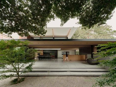 Massive oak tree defines this modern sanctuary in Northern California Feldman Architecture, Sanctuary House, Garden Site, Architecture Interiors, Floor To Ceiling Windows, Good House, Lush Garden, Modern Landscaping, Architecture Photo