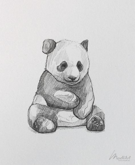 Animals Sketch Ideas, Nature Drawings Animals, Sketching Ideas Animals, Panda Drawing Sketches, Zoo Animal Sketches, Cute Panda Drawing Sketches, Giant Panda Drawing, Nature Animal Drawing, Drawing Ideas Animals Sketches Pencil