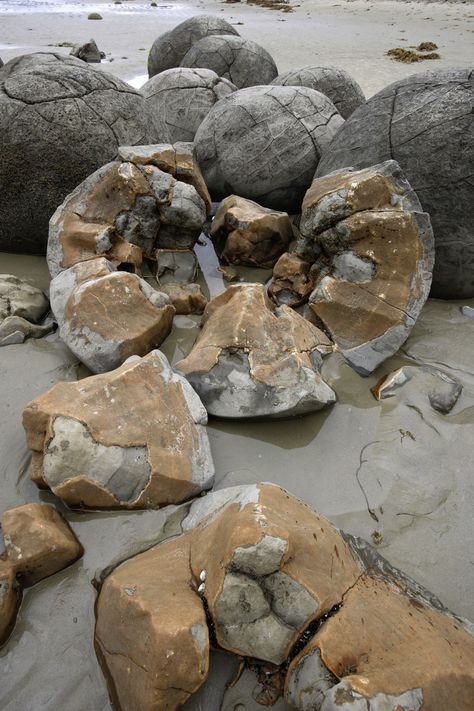 Mistborn Trilogy, Rock Study, Moeraki Boulders, Nature Environment, Rocks And Fossils, Giant Tree, Geology Rocks, Rock And Pebbles, Ancient Tree