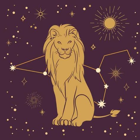 Zodiac Leo Art, Star Sign Art, Leo Star Sign, Personajes Studio Ghibli, Leo Constellation, Halloween Fest, Astrology Leo, Astrology Art, Seasons Art