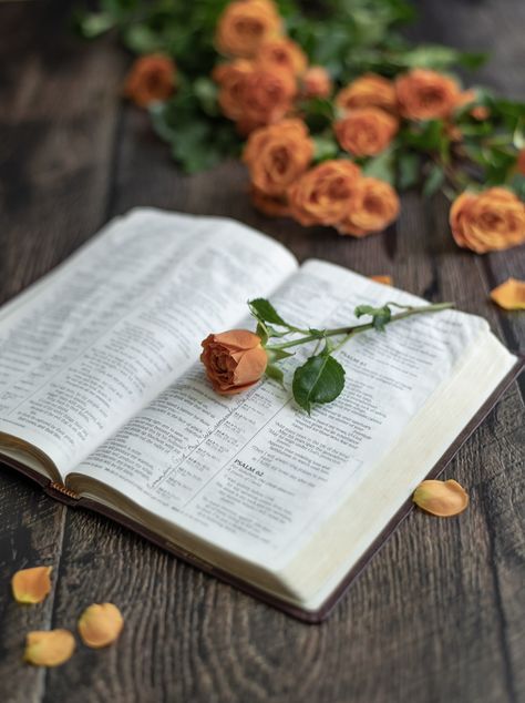 Bible Photography, Jesus Christ Illustration, Christian Photography, Goodbyes Are Not Forever, Bible Photos, Till We Meet Again, Red Roses Wallpaper, My Favourite Teacher, 21st Birthday Cards