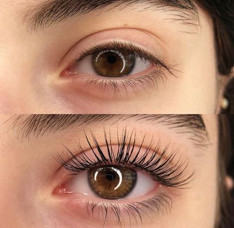 Лами Lash Tint And Lift, Eyelash Lift And Tint, Natural Fake Eyelashes, Lash Perm, Eyebrow Lift, Grow Lashes, Eyelash Logo, Lash Tint, How To Grow Eyelashes