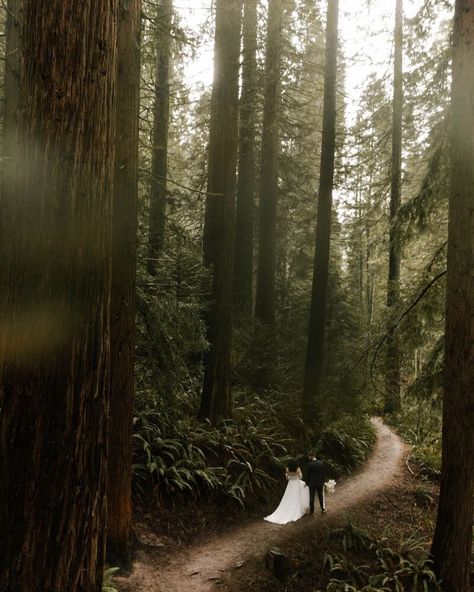 Pnw Forest Wedding, Oregon Forest Wedding, Forest Elopement Ceremony, Hoyt Arboretum Wedding, Woodland Elopement, Cliffside Elopement, Hoyt Arboretum, Forest Wedding Photography, Nature Elopement