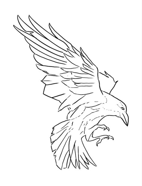 Crow Line Art Tattoo, Raven Line Art Tattoo, Raven Outline Drawing, How To Draw Raven, Crow Sketch Tattoo, Raven Sketch Simple, Raven Drawing Sketch Simple, Crow Line Tattoo, Crow Tattoo Linework