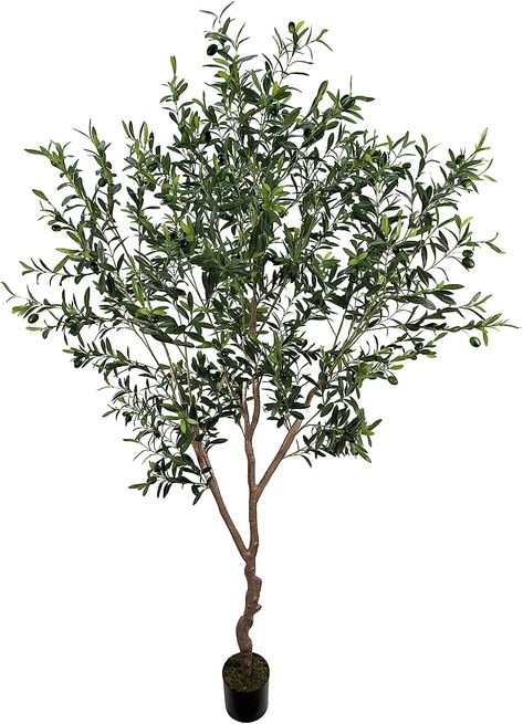 Amazon.com: AfanD Artificial Olive Tree 7ft(82in,2200+Uv Protection Leaf) Tall,Faux Olive Tree Indoor Artificial Tree for Modern Home Office Living Room Floor Decor Indoor : Home & Kitchen Faux Olive Tree Indoor, Olive Tree Indoor, Living Room Floor Decor, Artificial Olive Tree, Olive Plant, Tree Faux, Tree Indoor, Faux Olive Tree, Silk Tree