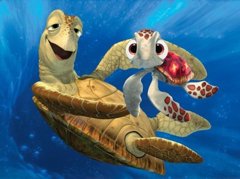 Crush and Squirt | Finding Nemo | Buscando a Nemo | Disney | Pixar | @dgiiirls Finding Nemo, Sea Turtles, Turtles, Swimming, Media