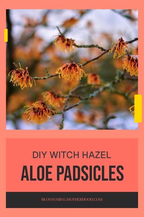 Find relief post-childbirth with our DIY Witch Hazel and Aloe Padsicles. Discover this easy and natural remedy for postpartum relief, offering soothing comfort that helps speed up recovery. These padsicles are simple to make with just a few ingredients right in your own home. Perfect for new moms seeking nursery relief, managing postpartum aches, or simply needing a little extra comfort Diy Witch Hazel, New Mom Essentials, Diy Witch, Mom Essentials, Toddler Parenting, Witch Diy, Reduce Swelling, Beautiful Chaos, Astringent