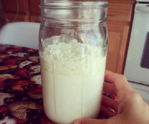 Como fazer kefir, o melhor de todos os probióticos | Cura pela Natureza Alternative Medicine, Milk Kefir, Milk Recipes, Fermented Foods, Pisco, Kefir, Kombucha, Nutrition Tips, Veggie Recipes