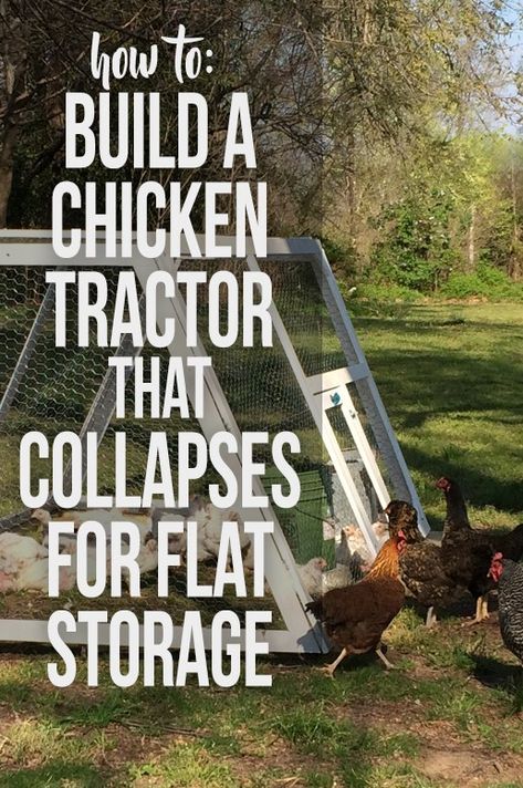 Clean Chicken Coop, Easy Diy Chicken Coop, Raising Turkeys, Easy Chicken Coop, Meat Birds, Clean Chicken, Chicken Tractors, Tractor Idea, Chicken Coop Run