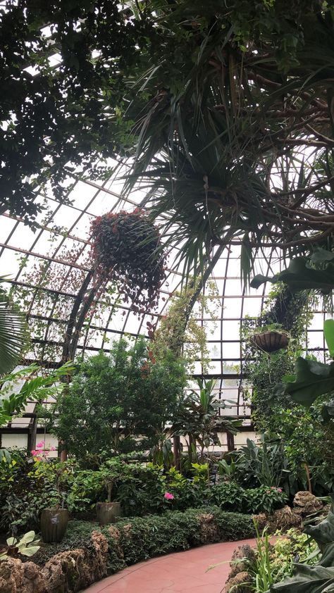 Lincoln Park Conservatory Conservatory Outfit, Dark Greenhouse Aesthetic, Butterfly Conservatory Aesthetic, Lincoln Park Conservatory, Franklin Park Conservatory Engagement, Franklin Park Conservatory, Abandoned Greenhouse Aesthetic Dark, Aesthetic House, Strange Places