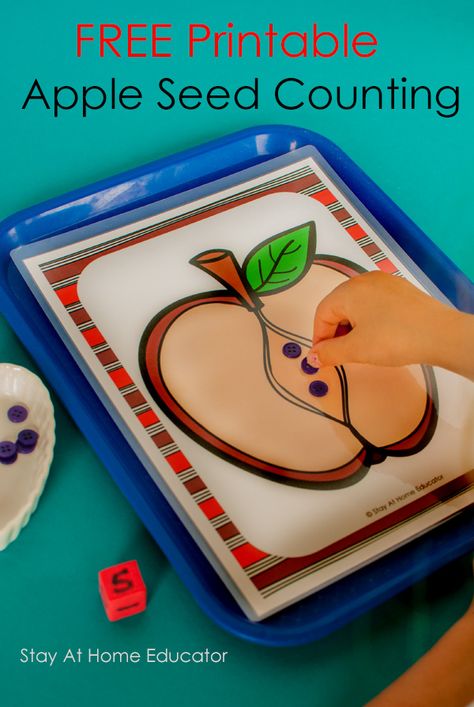 Apple Seed Counting, Apples Activities, Apple Counting, Counting Activities For Preschoolers, Preschool Theme Activities, Preschool Apple Theme, Counting Activities Preschool, Preschool Counting, Apple Preschool