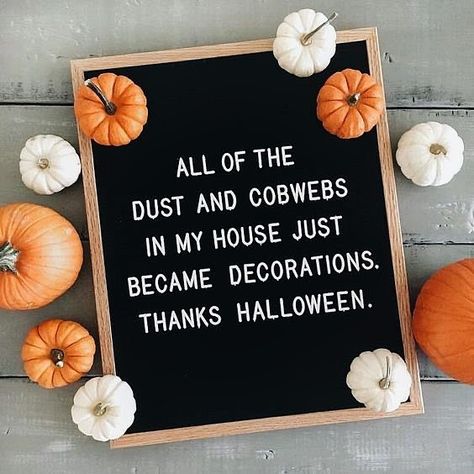 All of the dust and cobwebs in my house just became decorations. Thanks Halloween! If you havent cleaned your house since the pandemic started its fine! You were just preparing for Halloween May your Tuesday be as fabulous as BOO! Image found on Pinterest! #letterboardquotes Letterboard Signs, Message Board Quotes, Halloween Memes, Felt Letter Board, Halloween Letters, Diy Halloween Decor, Felt Letters, Autumn Quotes, Halloween Quotes