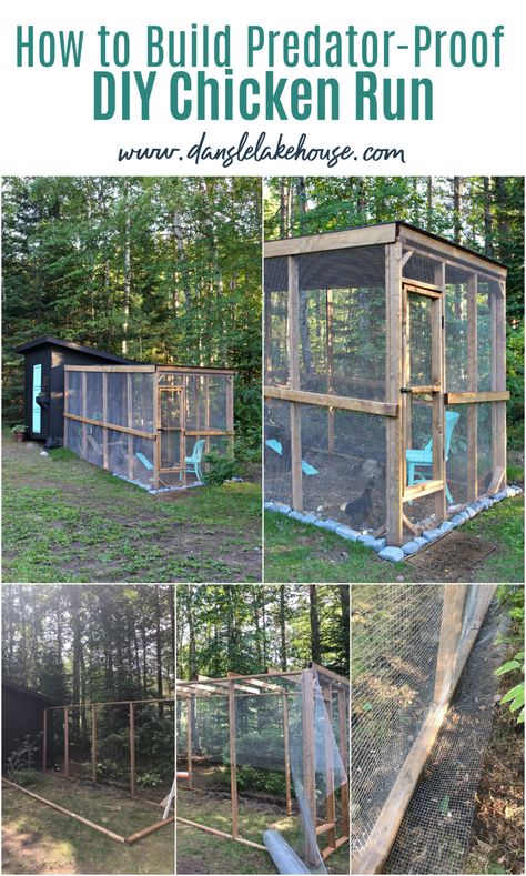 Build A Chicken Run, Pallet Backyard, Coop Layout, Chicken Run Ideas, How To Keep Chickens, Building A Chicken Run, Oasis Backyard, Gardening Backyard, Backyard Chicken Coop Plans