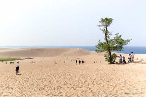 The Tottori Sand Dunes are not a landscape most people would expect to see in Japan, so that’s what makes them so fun and interesting to visit! Tottori, Sand Dunes, Beautiful World, Travel Blog, Japan, Water, Travel