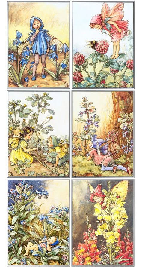 flower fairies by Cicely Mary Barker.  Scilla fairy, red clover, black meddick, I forget, forget-me-not, and snapdragon. Fairy Pictures, Cicely Mary Barker, Vintage Fairies, Fantasy Magic, Fairies Elves, Flower Fairies, Fairytale Art, Fairy Angel, Flower Fairy