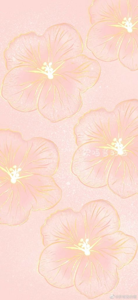 Aesthetic Wallpaper Peach Color, Peach Colored Wallpaper, Peach Wallpapers, Peach Pink Wallpaper, Peachy Pink Wallpaper, Light Peach Background, Color Durazno, Diwali Wallpaper, Lockscreen Ideas