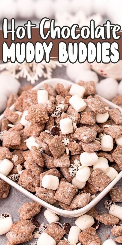 Chex Holiday Muddy Buddy, Muddy Buddy Christmas Recipe, Muddy Buddy Variations, Winter Puppy Chow, Hot Cocoa Chex Mix Recipe, Cinnamon Puppy Chow, Chocolate Muddy Buddies Recipe, Snacks With Hot Chocolate, Chex Mix Party Mix Recipe