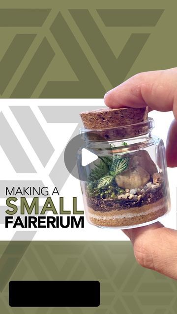 JOHNATHON Q SWANSON on Instagram: "Let me know your question!  Here’s a tutorial on how I made this small terrarium 🌱" Terrarium Tutorial, Small Terrarium, Miniature Terrarium, Mini Terrarium, Cactus Succulents, Plant Covers, Glass Bauble, Glass Terrarium, Nature Crafts