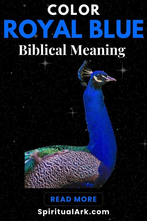 at the top is a title that says, "color royal blue biblical meaning", at the center is a side-view photo of a royal blue peacock, the overall background is black sky with millions of stars that look like glowing dusts while a few of these stars are more sparkling than others, and at the bottom of this pin are a button that says, "read more" and below it is the website source "SpiritualArk.com" Blue Color Meaning, Bible Meaning, Meaning Of Blue, Blue Bible, Color Symbolism, Color Meanings, Spiritual Meaning, Personal Journey, Royal Blue Color