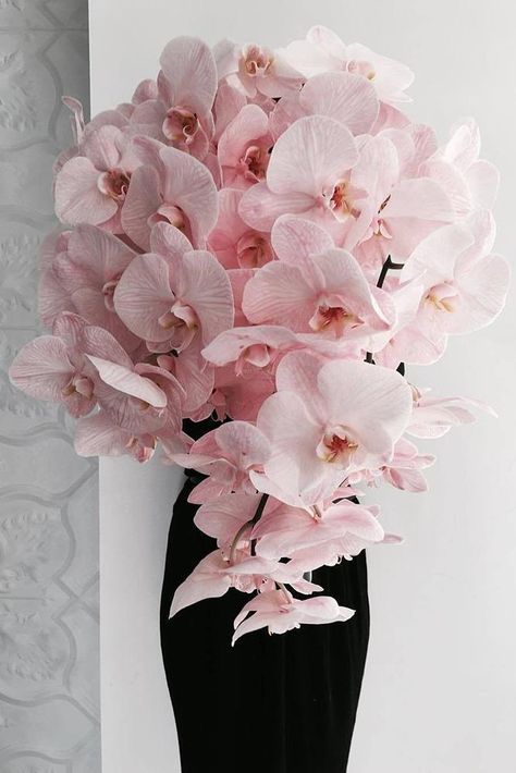 dusty rose wedding bouquet cascading with orchids willow_and_bear Dusty Rose Wedding Bouquet, Pink Orchids Bouquet, Wedding Bouquet Cascading, Orchid Bouquet Wedding, Orchid Bouquet, Dusty Rose Wedding, Orchid Wedding, Gold Wedding Decorations, Rose Wedding Bouquet