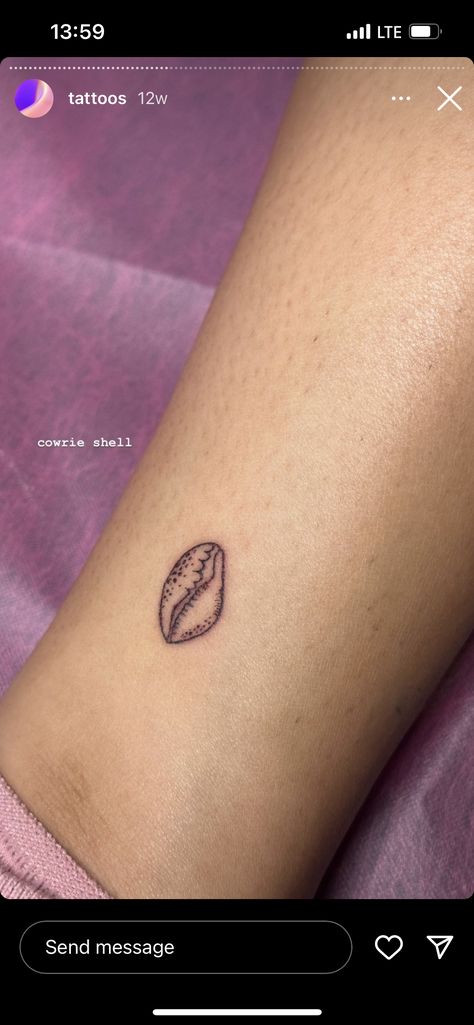 Cowrie Shell Tattoo Design, Hawaiian Shell Tattoo, Cowry Shell Tattoo, Murex Shell Tattoo, Opihi Tattoo, Mollusk Tattoo, Puka Shell Tattoo, Cowrie Tattoo, Shell Tattoos For Women