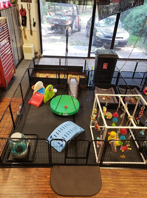 Dog Welping Rooms, Indoor Puppy Play Area Dog Rooms, Breeder Puppy Room, Dogs Playroom, Puppy Litter Play Area, Dog Playroom Indoor, Puppy Play Area Indoor, Small Dog Play Area Indoor, Puppy Room Set Up