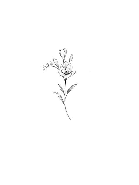 Wrist Lily Tattoo, Small Freesia Tattoo, Dainty Lilly Tattoo, Tiny Gladiolus Tattoo, White Violet Tattoo, Freesias Flower Tattoo, Fresia Tattoo Small, Small Line Work Flower Tattoo, Freesia Flower Tattoo Design