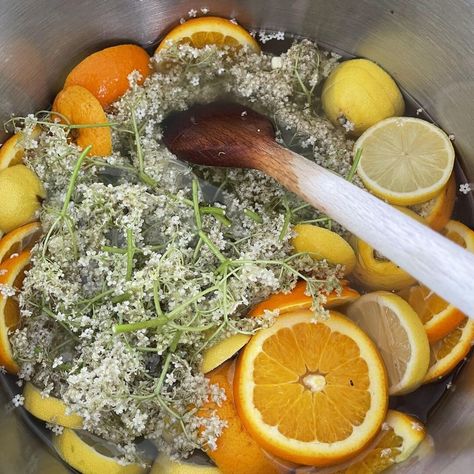 Cordial Recipe, Elderflower Cordial, Victoria Sponge Cake, Rose Flavored, Cow Parsley, So Many Questions, Garden Harvest, Old Fashioned Recipes, Wild Food