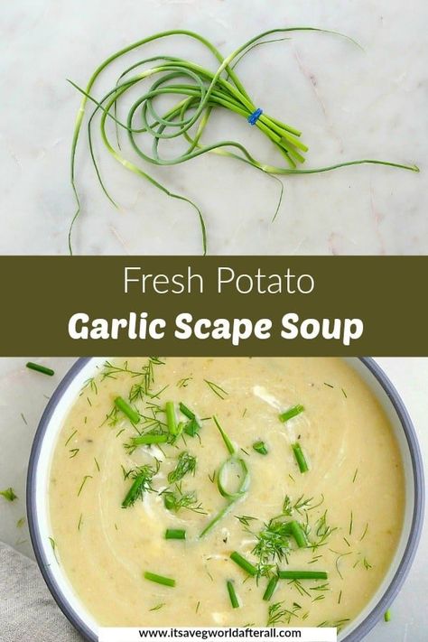 Garlic Scape Soup, Thanksgiving Vegetable, Soup With Potatoes, Garlic Scapes, Csa Recipes, Food Blogging, Secret Power, Vegetable Side, Garlic Recipes