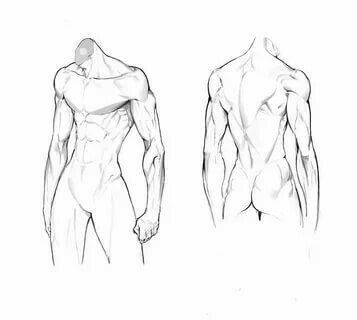 Male Art Reference, Back Drawing, Human Anatomy Drawing, Body Drawing Tutorial, Human Anatomy Art, Anatomy Sketches, Body Reference Drawing, Anatomy Drawing, Figure Drawing Reference