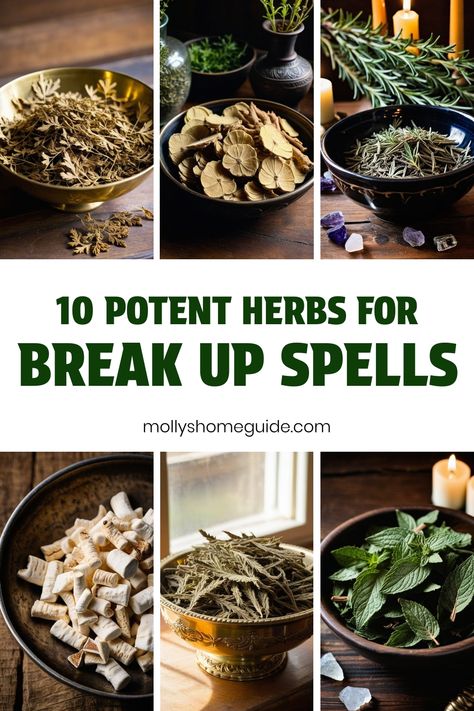 Are you looking for ways to separate two people using ritual magic spells? Discover the power of herbs for break up spells with our collection of banishing herbs and magic ingredients. Whether you're interested in white magic or Wiccan break-up spells, explore the possibilities of utilizing fennel magick and freezer spells to help break a spell that no longer serves you. Our guide includes a variety of effective herbs for break up rituals and love spell practices. Herbs For Break Up Spells, Herbs For Banishing Spells, Separation Spell, Banishing Herbs, Break Up Spell, Magic Ingredients, Spells And Rituals, Break Up Spells, Ritual Magic