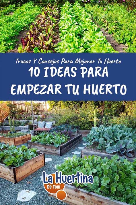 10 Ideas Y Trucos Para Empezar Y Mejorar TU Huerto Huertas Caseras Ideas, Invernaderos Ideas, Huerta En Casa Ideas, Plant Care Houseplant, Permaculture Gardening, Green Life, Planting Herbs, Permaculture, Lawn Care