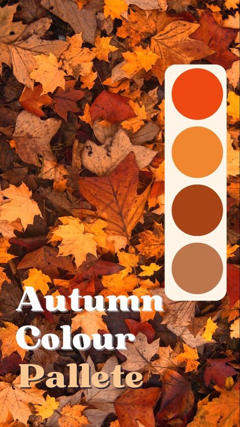 Autumn Colour Scheme, Fall Palette Colors, Autumn Colours Palette, Autumnal Colour Palette, Autumn Wedding Colour Scheme, Fall Wedding Colors October Colour Palettes, Autumn Wedding Colors Palette, Autumn Colors Palette, Halloween Colour Palette