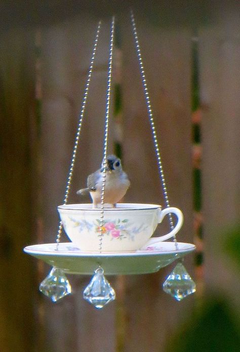 Repurpose old china dishes to make the most delightful birdfeeders. Teacup Crafts, Tea Cup Bird Feeder, Diy Bird Feeder, Diy Birds, Cup Crafts, Glass Garden, Bird Feeder, Garden Crafts, Hummingbirds