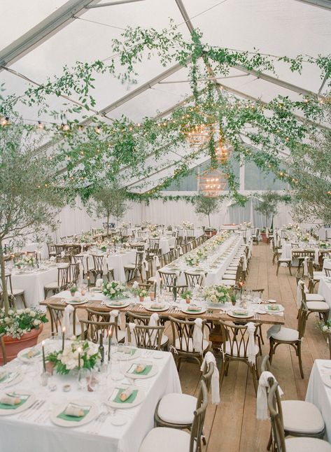 kimbrell-bruce-wedding-tent-0620 Clear Marquee Wedding Decor, Italian Tent Wedding, Courtyard Wedding Decorations, Italian Courtyard Wedding, Court Yard Wedding, Sage And Ivory Wedding, Clear Tent Wedding, Italian Courtyard, Tent Weddings