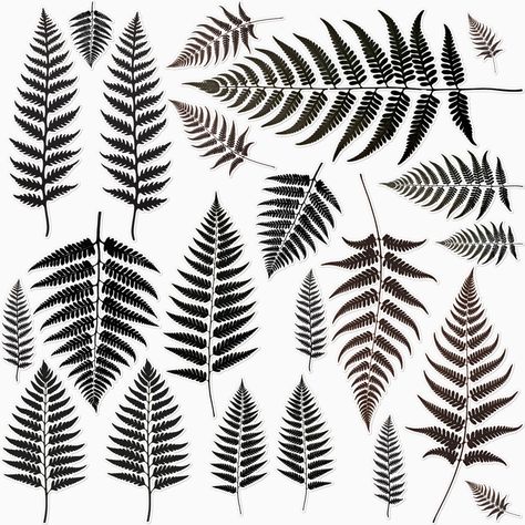 Fern Foliage Tattoo, Fern Bush Tattoo, Ferns Tattoo, American Traditional Fern Tattoo, Unique Fern Tattoo, Fern Tattoo Design, Black And White Fern Tattoo, Maidenhair Fern Tattoo, Fern Silhouette Tattoo