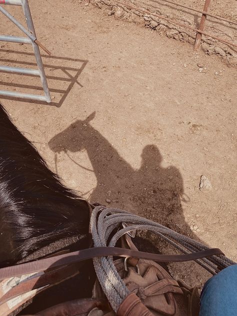 Texas Ranch Aesthetic, Mountain Cowgirl, Arizona Cowboy, Western Pics, Country Core, Western America, Roping Horse, Southern America, Cowboy Lifestyle