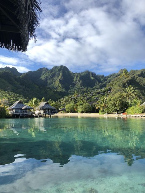 Polynesian Islands Aesthetic, Moorea French Polynesia Aesthetic, French Polynesia Aesthetic, Polynesia Aesthetic, Tahiti Aesthetic, Moorea Island, Tahiti Island, Moorea French Polynesia, Life In Paradise